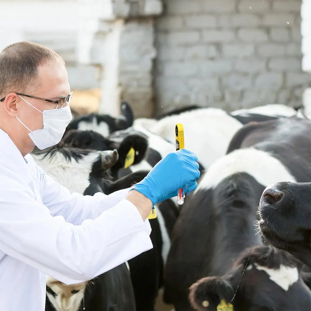 Anemómetro Kestrel 3500 Delta T - Imagen 5